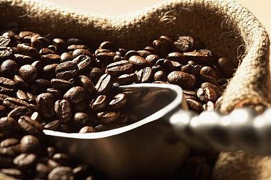 鬼蟹宣布创立新工作室 招募志同道合之士加入